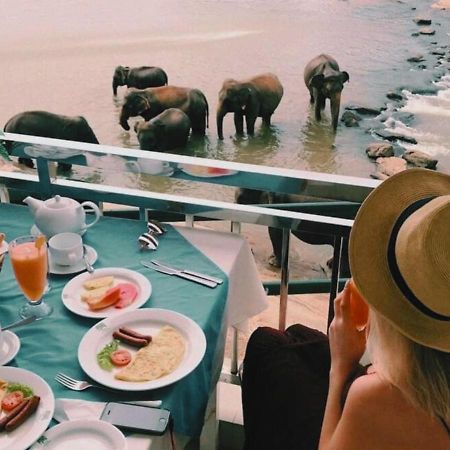 Hotel Elephant Park - New Deal! Half Off Airport Pickups Available Pinnawala  Dış mekan fotoğraf