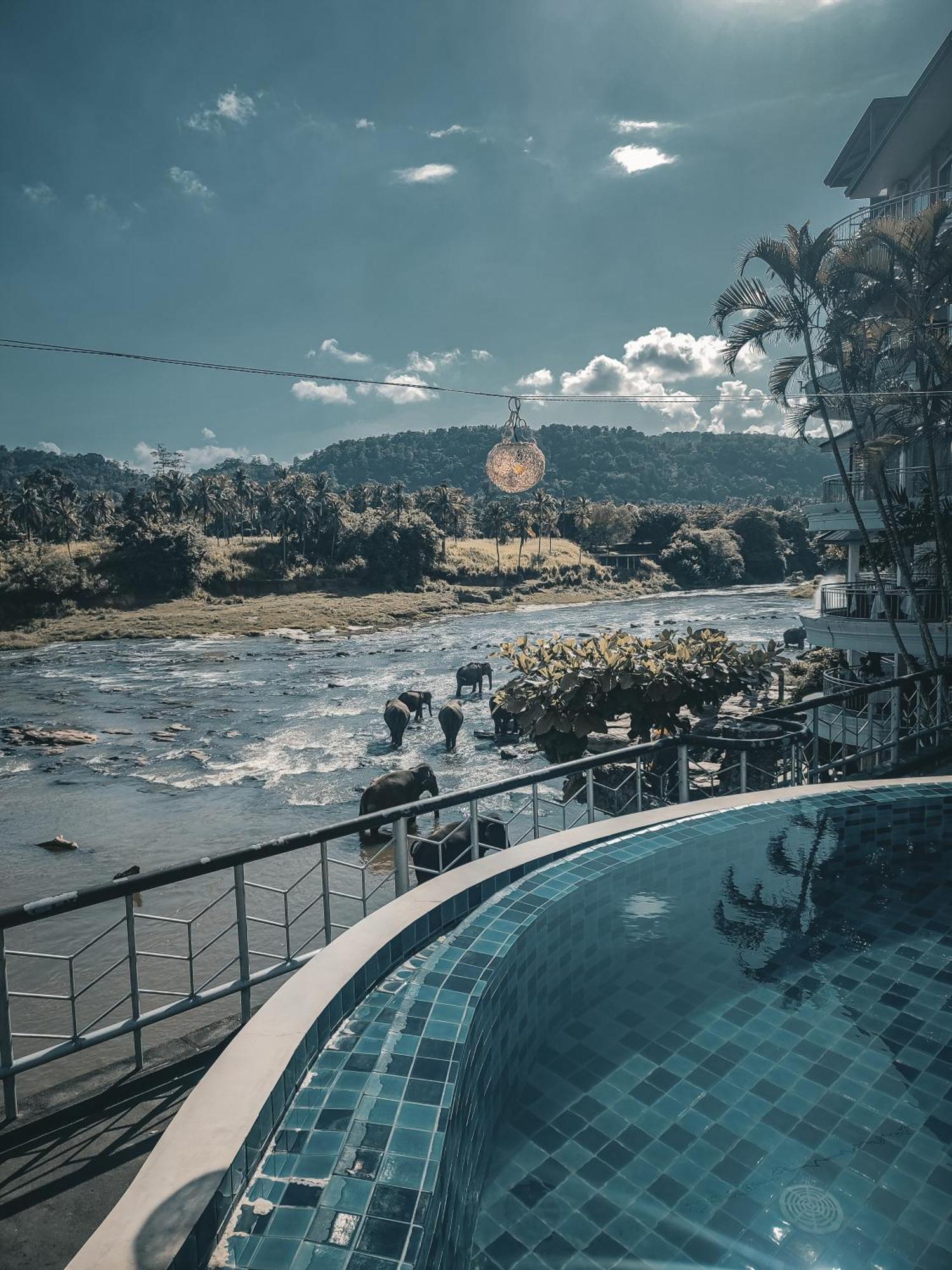Hotel Elephant Park - New Deal! Half Off Airport Pickups Available Pinnawala  Dış mekan fotoğraf