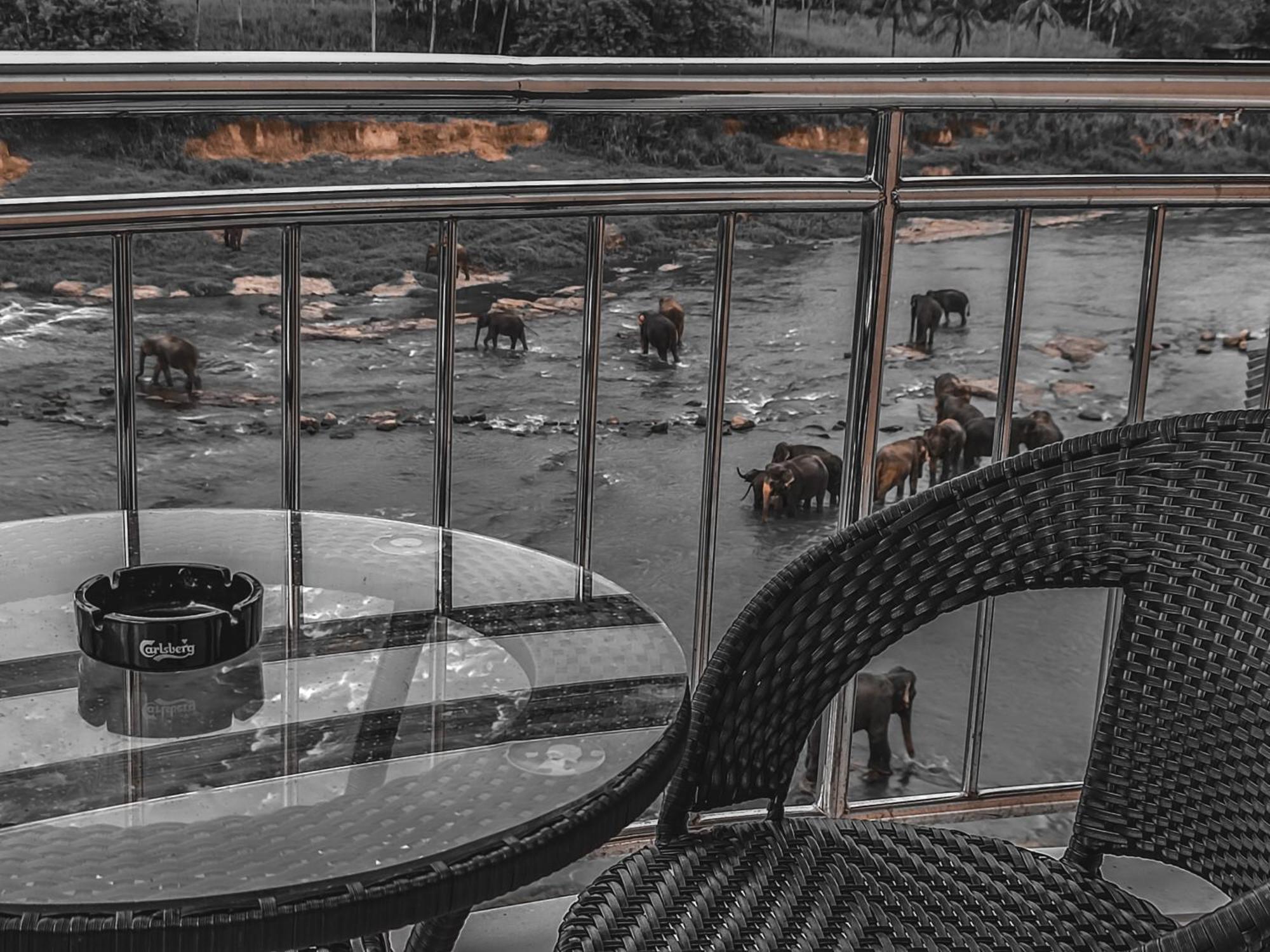 Hotel Elephant Park - New Deal! Half Off Airport Pickups Available Pinnawala  Dış mekan fotoğraf