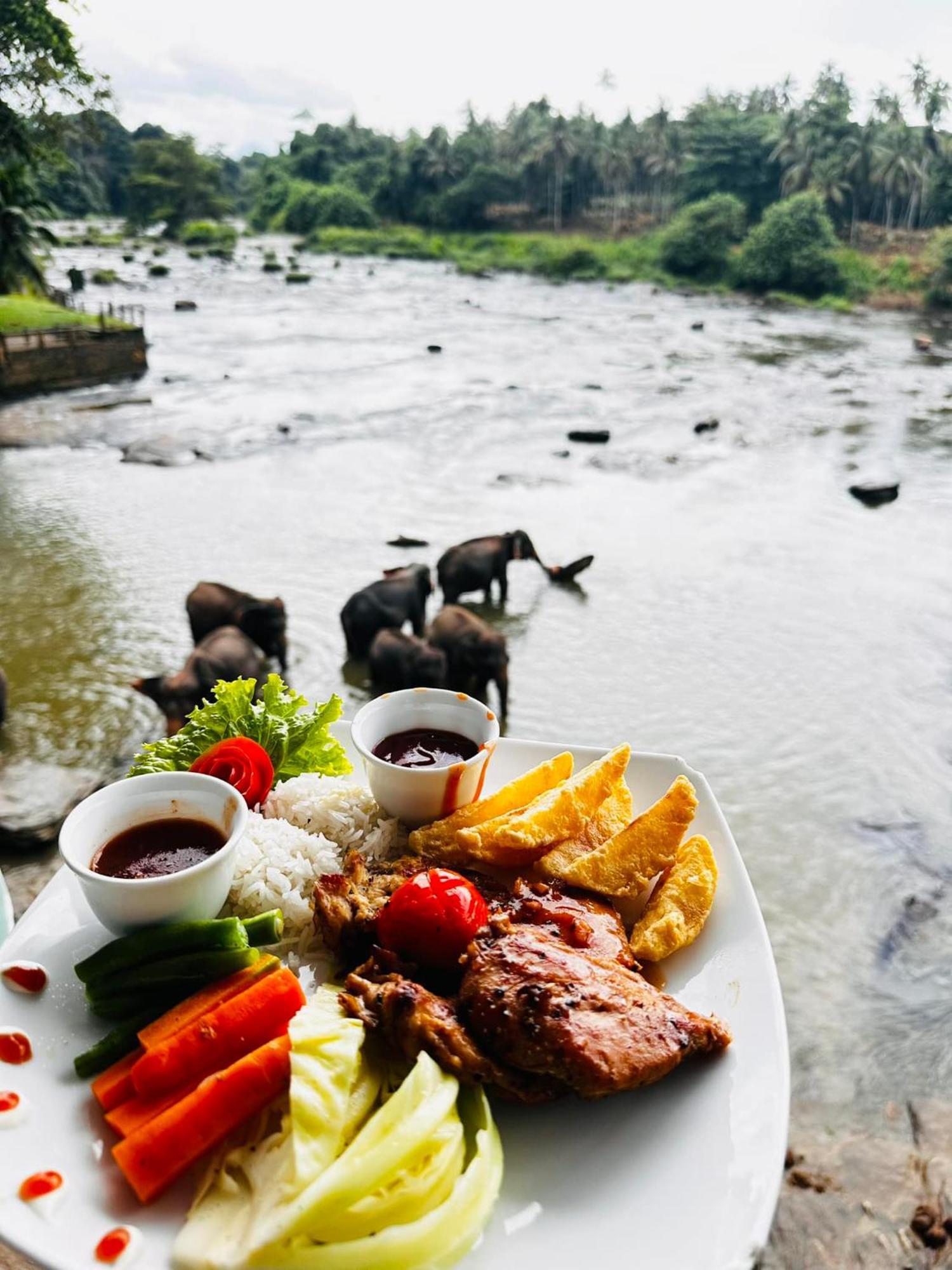 Hotel Elephant Park - New Deal! Half Off Airport Pickups Available Pinnawala  Dış mekan fotoğraf