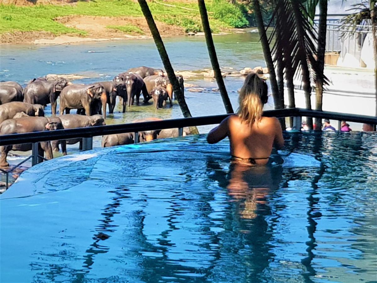 Hotel Elephant Park - New Deal! Half Off Airport Pickups Available Pinnawala  Dış mekan fotoğraf