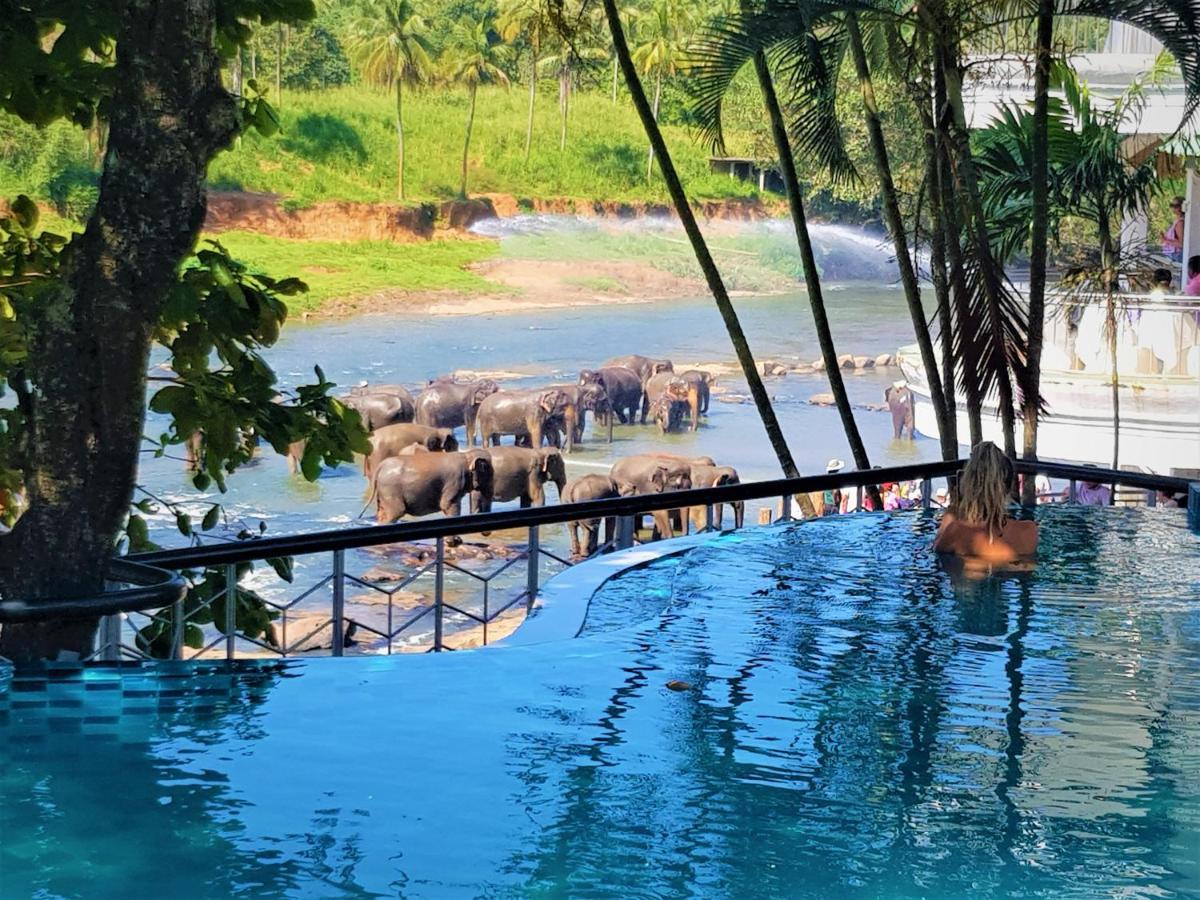 Hotel Elephant Park - New Deal! Half Off Airport Pickups Available Pinnawala  Dış mekan fotoğraf